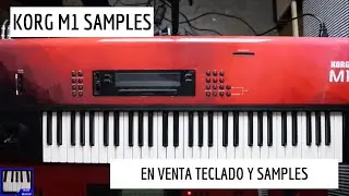 WOW EL M1 YA LEE SAMPLES PARTE 2 EL AVANCE