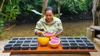 Black Jelly Recipe | Making Fruit Jelly for Market Sale Step by Step