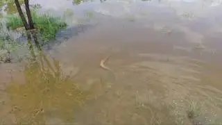 LAKE CAMPION (Yawuru Country) - Drone Footage