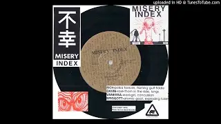 MISERY INDEX 