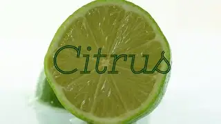 Food Facts: Citrus