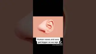 Daily interesting facts 🧐 #shorts #tiktok #viral #trending #facts