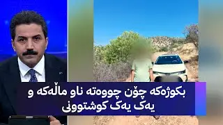 بکوژەکە چۆن چووەتە ناو ماڵەکە و یەک یەک کوشتوونی