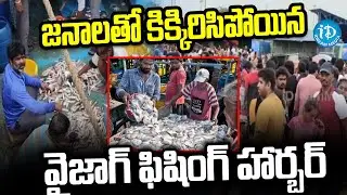 Vizag Fishing Harbour | మళ్లీ మొదలైన చేపల వేట | iDream info