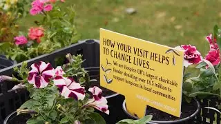 'Life, joy and happiness:' how the National Garden Scheme opens the door to our hospices
