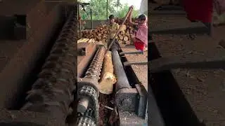 Peeling sawmill wood and plywood making 🪵|#wood #peeling