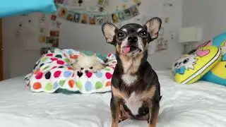Mail Opening AND Cedric&rsquo;s Health Update LIVE