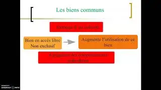 Biens collectifs et biens communs