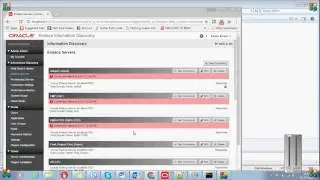 Endeca Tutorial: Data Domain Operations-Data Domain Duplicate using clone-dd