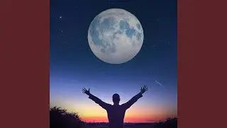 Freedom Feeling