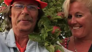 magisk trylling med toner film av Tove Lorvik og J&oslash;r&aring;nd Bull