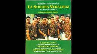 QUE MARAVILLOSO SONORA VERACRUZ