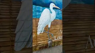 Wall painting on a building in Uptown New Orleans #neworleans #wallmurals #painting #artwork