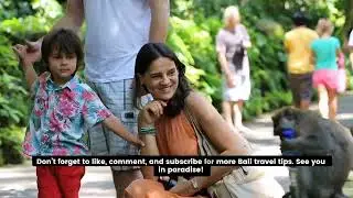 Bali Car Rental &ndash; The Best Way to Explore Paradise!