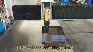 High Security New design China 2030 2040 2060 Gantry laser and flame cutting machine