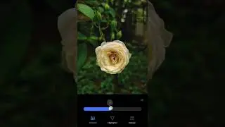 🔥🔥Rose editing 🔥🔥