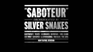 Silver Snakes - Devotion [Audio Only]