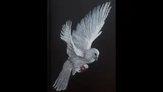 Oil pastel drawing | Freedom