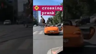 Zebra 🦓 Crossing 🚸 Prank 😬😂😂#car #drive #safe #safetyfirst #prank #road #crossing #laugh #fun #shock