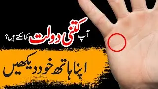 How much Wealth in your palm? | Explanation about Money Line Palmistry | Money Line Palmistry