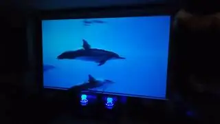 BONSAII CUBE 150 INCHES ON EBAY FOR $305 POWERFUL LITTLE PROJECTOR search bonsaii Cube on ebay