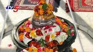 Shiva Linga Pratishta In Kashi Vishalakshi Temple | Pallerlamudi | TV5 News