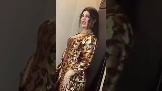 kpk dolphin ayan Peshawar