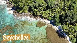 Holidays during Covid in Seychelles 🏝️ -  Anse Bazarca drone view 4k 🌴