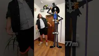 ⚡️ONE PIECE - HEIGHT comparison part 2