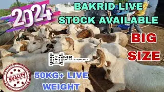 #BAKRID EID LIVE STOCK AVAILABLE AT #NEW_BOWENPALLY | #MRENTERTAINMENT |  #bakrid2024