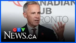 PM Carney confirms cutting federal public service by 10%