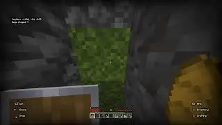 Ep 2 Ratatii La minat