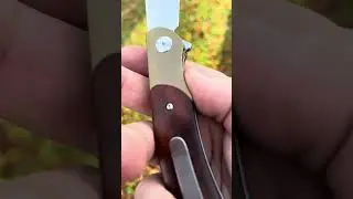 Favorite medium folding knife under $100 petrified fish #edc #blade #knifecommunity #best #top #new