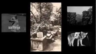 Cimetière des chiens au début du 20e siècle - Cemetery Dogs in the early 1900s - Rin Tin Tin