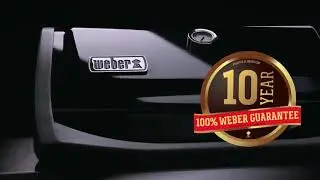 Amazoncom  Weber 45010001 Black Spirit II E 310 LP Gas Grill