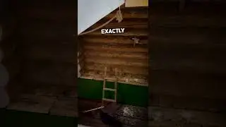 Smart Crow Uses Stick as Tool to Get Food! 🐦&zwj;⬛😮