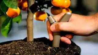 Cool Garden Tech