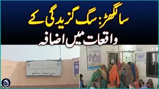 Sanghar: Rise in cases of poaching - Aaj News