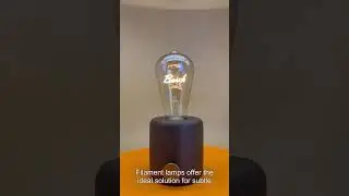 how do filament led bulbs work,how do led edison bulbs work,led bulb filament,frosted led edison bul