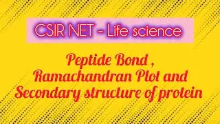  # Peptide Bond #Ramachandran Plot #Protein structure #Secondary Structure 