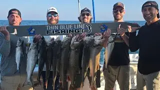 2025 FALL KINGS AND TROUT 