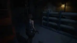 Shadow gets scared