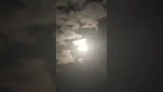 #СУПЕРЛУНИЕ 🌝 в Украине - Полная Голубая #Луна 30 августа 2023 - Super #Moon Light Nature Video