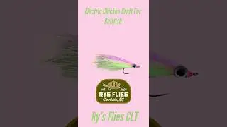 #electricchicken #baitfish #tarponfishing #redfishonfly #flyfishing #flytyingjunkie #subscribe