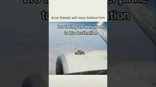 Funny duck videos 🤣🤣 #funny #funnyvideo #memes #funnymemes #hilarious #ducks #fyp #shorts