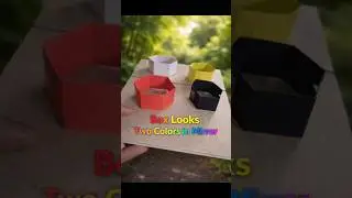 Box looks two colours in mirror| Amazing mirror trick One box, two colours 🛑🛑 #viral #ytshorts #diy