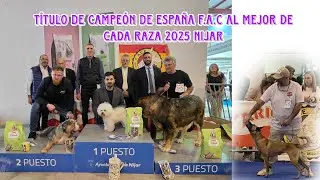 Título de Campeón de España F.A.C al mejor de cada raza 2025