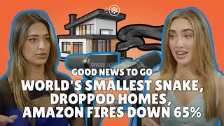 &ldquo;DropPod&rdquo; Homes, Nazi-Looted Painting Recovered, Amazon Fires Drop | Episode 016: Good News To Go
