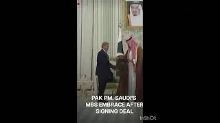 Royal F-15 Jet Escort in Saudi Arabia  prime minister of pakistan #trendingnews #news #shorts