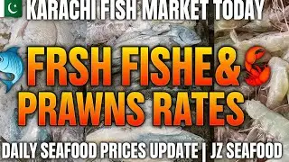 Karachi Fish Market Today | Fresh Fishes & Prawns Rates Update | Daily Seafood Prices | JZ Seafood